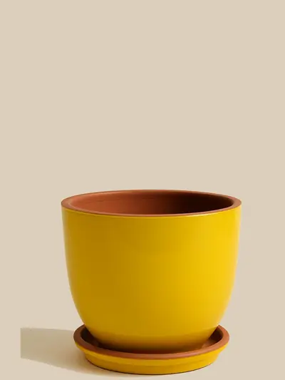 Sarı Sırlı Saksı No 2 Ø20cm -  Saksilar - Lalezar Botanik